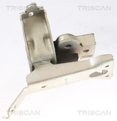 Mounting, engine TRISCAN 850510127 2