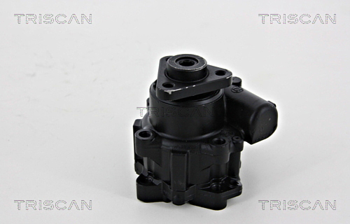 Hydraulic Pump, steering system TRISCAN 851529638 2