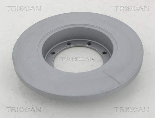 Brake Disc TRISCAN 812024170C 2