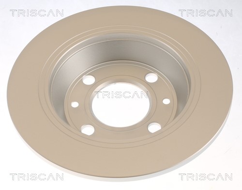 Brake Disc TRISCAN 812065106 2