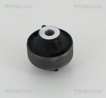 Mounting, control/trailing arm TRISCAN 850025862