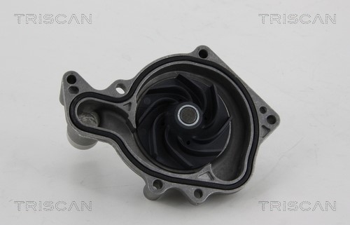 Water Pump, engine cooling TRISCAN 860029051 3