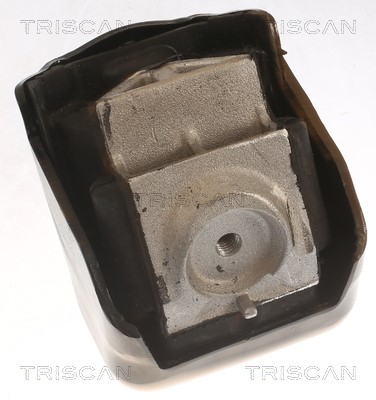 Mounting, engine TRISCAN 850523110 2