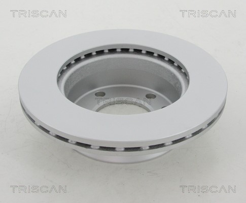 Brake Disc TRISCAN 812010169C 2
