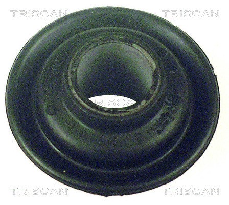 Mounting, control/trailing arm TRISCAN 850027800