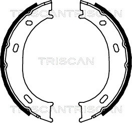 Brake Shoe Set, parking brake TRISCAN 810023024