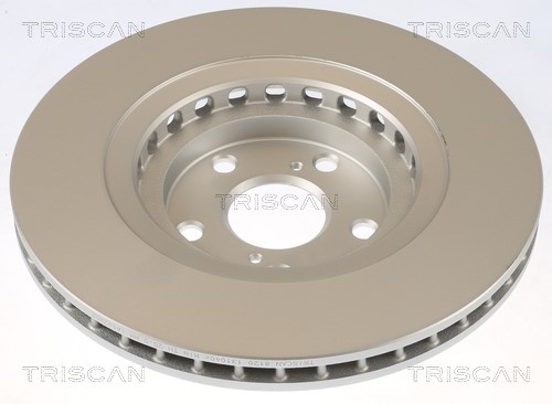 Brake Disc TRISCAN 8120131040C 2