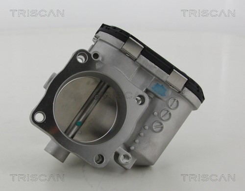 Throttle Body TRISCAN 882029007 3