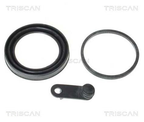 Seal, brake caliper piston TRISCAN 8170189952