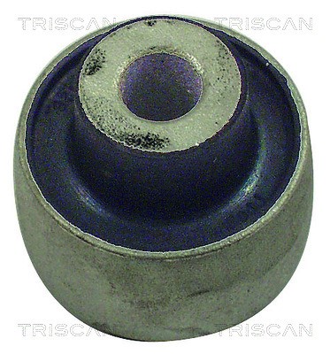 Mounting, control/trailing arm TRISCAN 850027811