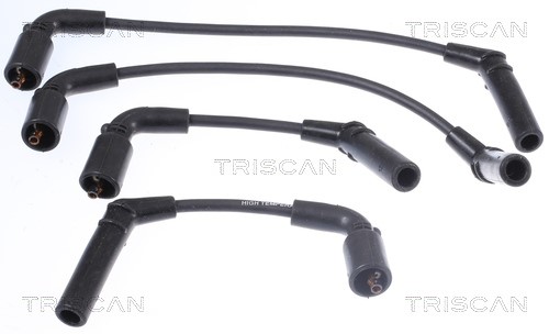 Ignition Cable Kit TRISCAN 886018011