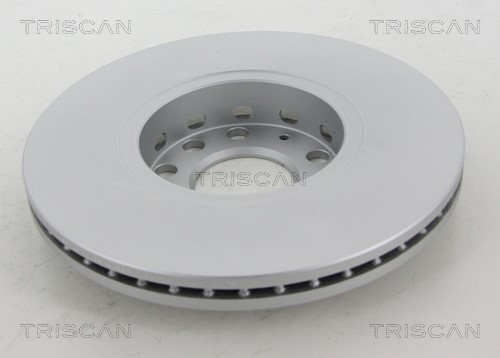 Brake Disc TRISCAN 812029108C 2
