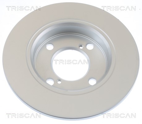 Brake Disc TRISCAN 812069143C 2