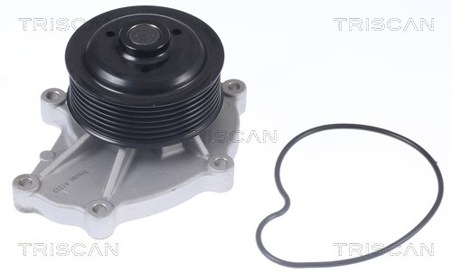 Water Pump, engine cooling TRISCAN 860068025