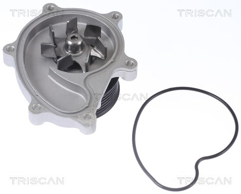 Water Pump, engine cooling TRISCAN 860068025 2