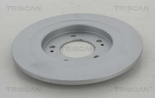 Brake Disc TRISCAN 812043165C 2
