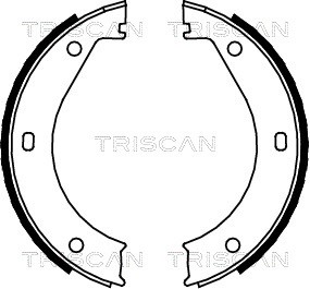 Brake Shoe Set, parking brake TRISCAN 810011415