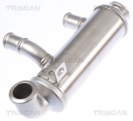 Cooler, exhaust gas recirculation TRISCAN 881310110 2