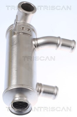 Cooler, exhaust gas recirculation TRISCAN 881310110 3