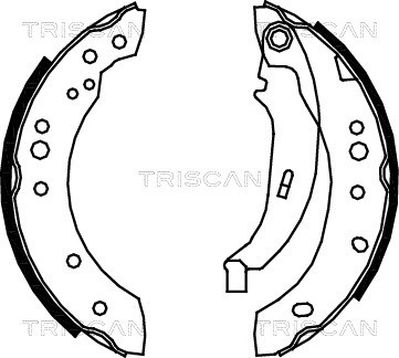 Brake Shoe Set TRISCAN 810025005