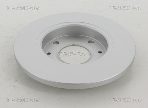 Brake Disc TRISCAN 812028111C 2