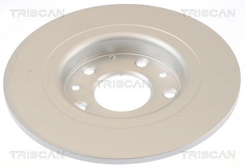 Brake Disc TRISCAN 812050184C 2