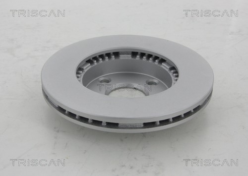 Brake Disc TRISCAN 812050133C 2