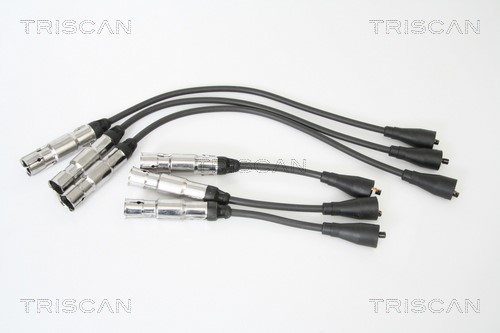 Ignition Cable Kit TRISCAN 886023001