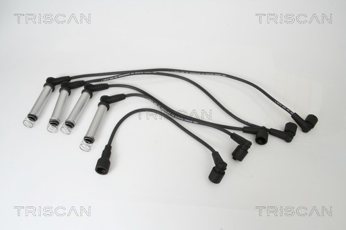 Ignition Cable Kit TRISCAN 886024007