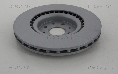Brake Disc TRISCAN 812012139C 2