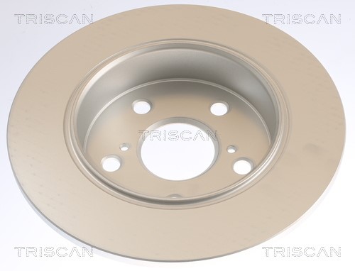 Brake Disc TRISCAN 8120131069C 2
