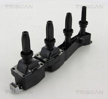 Ignition Coil TRISCAN 886028020
