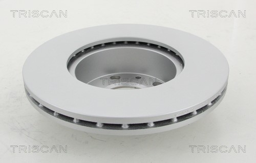 Brake Disc TRISCAN 812010140C 2
