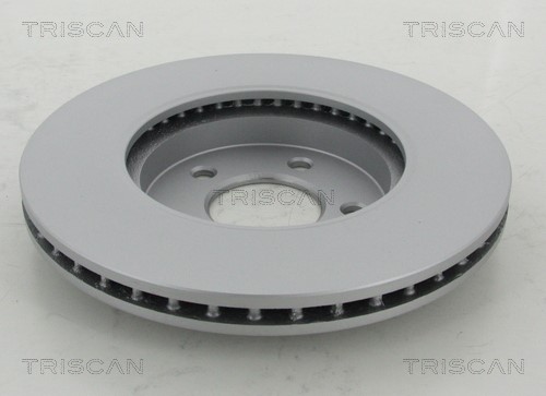 Brake Disc TRISCAN 812050175C 2
