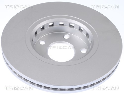 Brake Disc TRISCAN 812050185C 2