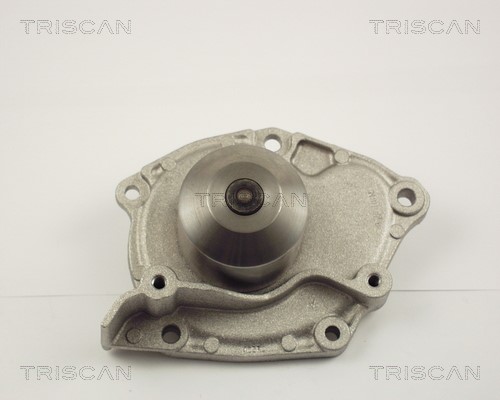 Water Pump, engine cooling TRISCAN 860010015