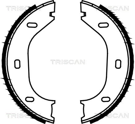 Brake Shoe Set, parking brake TRISCAN 810010290