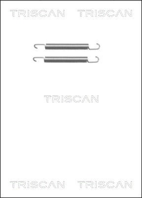 Accessory Kit, parking brake shoes TRISCAN 8105652161