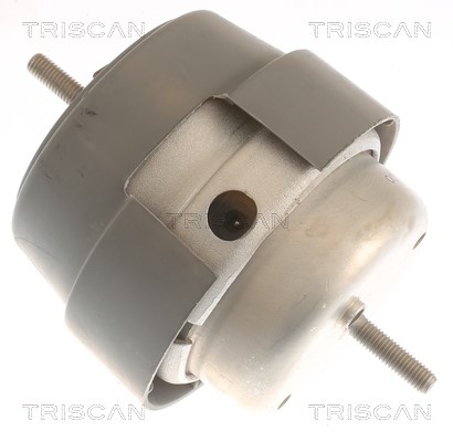 Mounting, engine TRISCAN 850529169