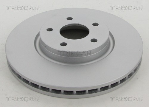 Brake Disc TRISCAN 812016163C