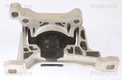 Mounting, engine TRISCAN 850516111