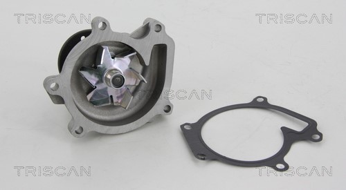 Water Pump, engine cooling TRISCAN 860041010 2