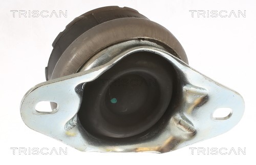 Mounting, engine TRISCAN 850510131 2