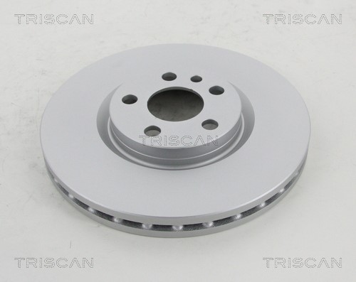 Brake Disc TRISCAN 812010184C