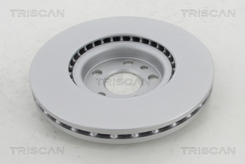 Brake Disc TRISCAN 812010184C 2