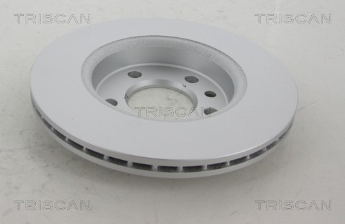 Brake Disc TRISCAN 812029196C 2