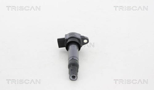 Ignition Coil TRISCAN 886042010