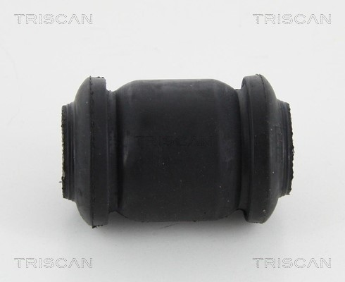 Mounting, control/trailing arm TRISCAN 850013818