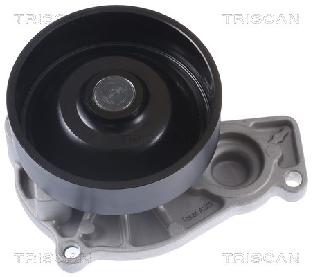 Water Pump, engine cooling TRISCAN 860011049