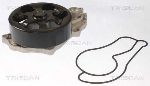 Water Pump, engine cooling TRISCAN 860040022